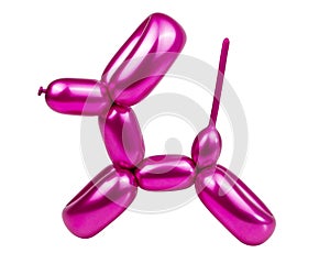 balloon dog model party fun isolated on the white background