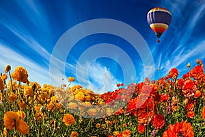 The balloon flies over fields