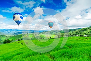 Balloon flying on rice field, Rice field in mountain or rice terrace in the nature, Relax day in beautiful location