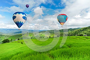 Balloon flying on rice field, Rice field in mountain or rice terrace in the nature, Relax day in beautiful location