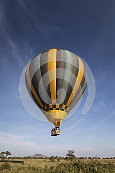 Balloon over savana during safari in Serengeti National Park, Tanzania. Wild nature of Africa