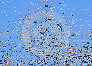 Balloon release