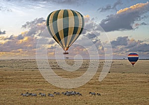 Balloon safari