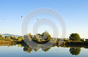 Balloons Above a Quiet Pond