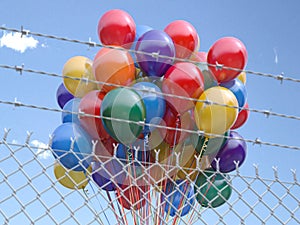 Balloons bunch behind the barbed fence. Freedom or prohibition of celebration concept