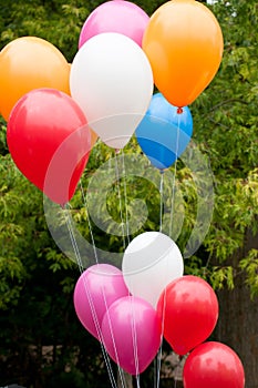 Balloons at first day of school