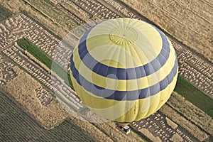 Balloons over Farmland photo