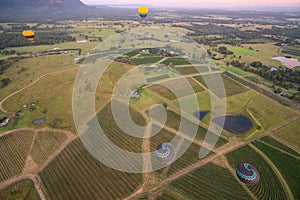 Balloons over vineyards in Pokolbin wine region at sunrise, Hunter Valley, NSW, Australia