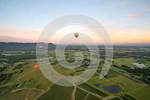 Balloons over vineyards in Pokolbin wine region at sunrise, Hunter Valley, NSW, Australia