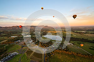 Balloons over vineyards in Pokolbin wine region at sunrise, Hunter Valley, NSW, Australia