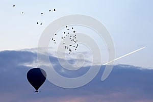 Balloons with people flying in the background of a flock of bird