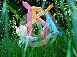 Balloons for playing in the grass, outdoor activities