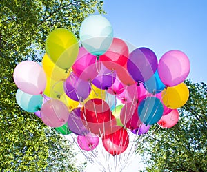 Balloons, sky and tree