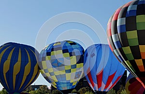 Multi colored balloons standing tall at the Albuquerque International Balloon Fiesta special shapes rodeo. photo