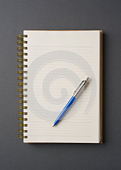 Ballpoint pen made of blue plastic and metal standing on lined notebook