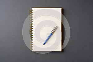 Ballpoint pen made of blue plastic and metal standing on lined notebook