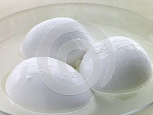 Balls of Buffalo Mozzarella
