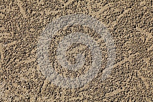 Balls of sand produced by burrowing sand bubbler crabs