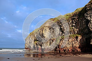 Ballybunion beach cliff gulls