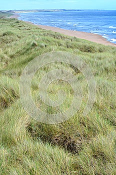 Balmedie country park, a well-preserved natural coastal area near Aberdeen (Scotland)