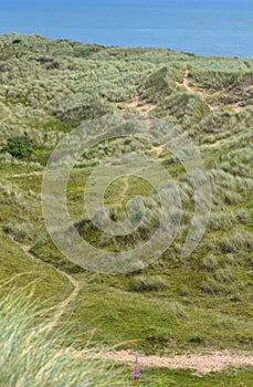 Balmedie country park, a well-preserved natural coastal area near Aberdeen (Scotland)