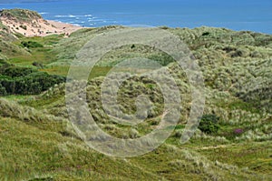 Balmedie country park, a well-preserved natural coastal area near Aberdeen (Scotland)