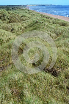 Balmedie country park, a well-preserved natural coastal area near Aberdeen (Scotland)