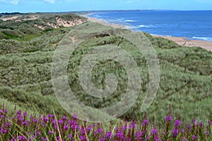 Balmedie country park, a well-preserved natural coastal area near Aberdeen (Scotland)