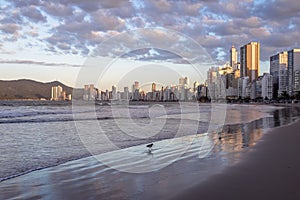 Balneario Camboriu beach and skyline at sunset - Balneario Camboriu, Santa Catarina, Brazil