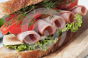 Baloney sandwich photo