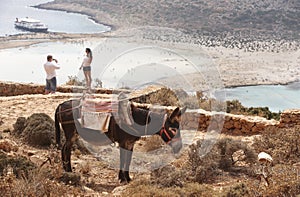 Balos beach and donkey in Crete. Mediterranean landscape. Greece