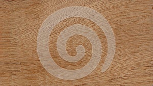 Balsa sheet photo