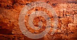 Balsa wood texture, panoramic old background - AI generated image