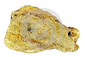 Baltic amber