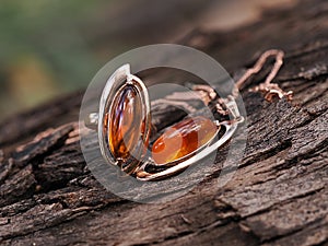 Baltic amber in gold jewelry