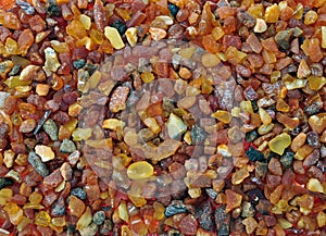 Baltic amber, resin segments