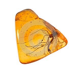 Baltic amber stone.