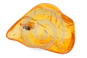 Baltic amber stone.