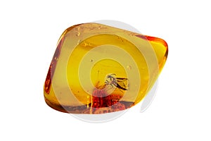 Baltic Amber Stone