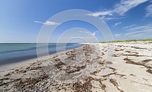 Baltic beach in Falsterbo, Sweden