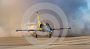 Baltic Bees with Albatros L-39c aircraft at Bias.