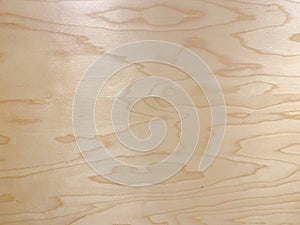 Birch plywood texture, background