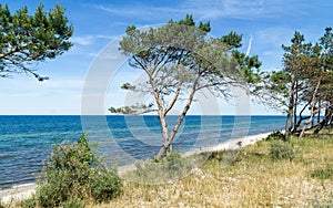 Baltic coast landscape, Western Pomerania, Poland, Europe. Sandy beach on a sunny summer day