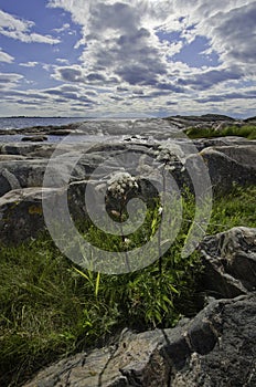 Baltic coastline in summer photo