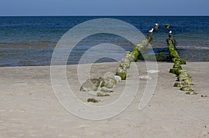 The Baltic Sea beach