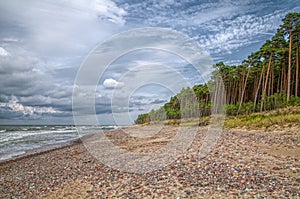 The midday , beach and forest near Karkle photo