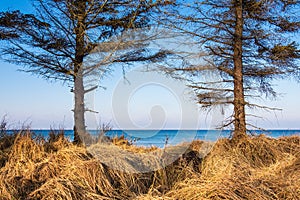 Baltic Sea coast in Graal Mueritz, Germany