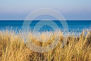 Baltic Sea coast in Graal Mueritz, Germany