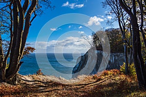 Baltic Sea coast on the island Moen in Denmark photo