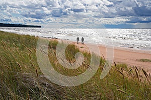 Baltic sea coast in Latvia near Vitrupe